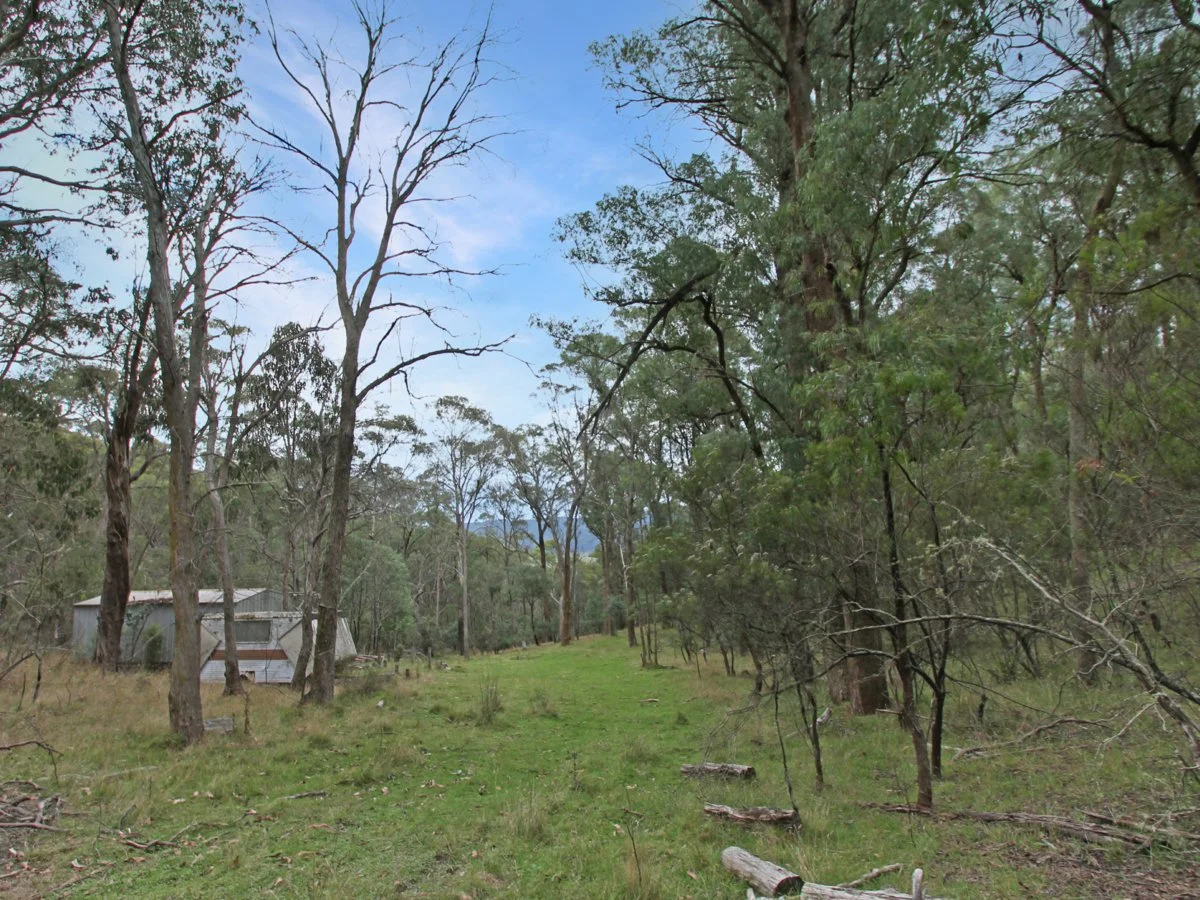 Additional image 16 of 135 Kangaroo Track, Omeo VIC 3898