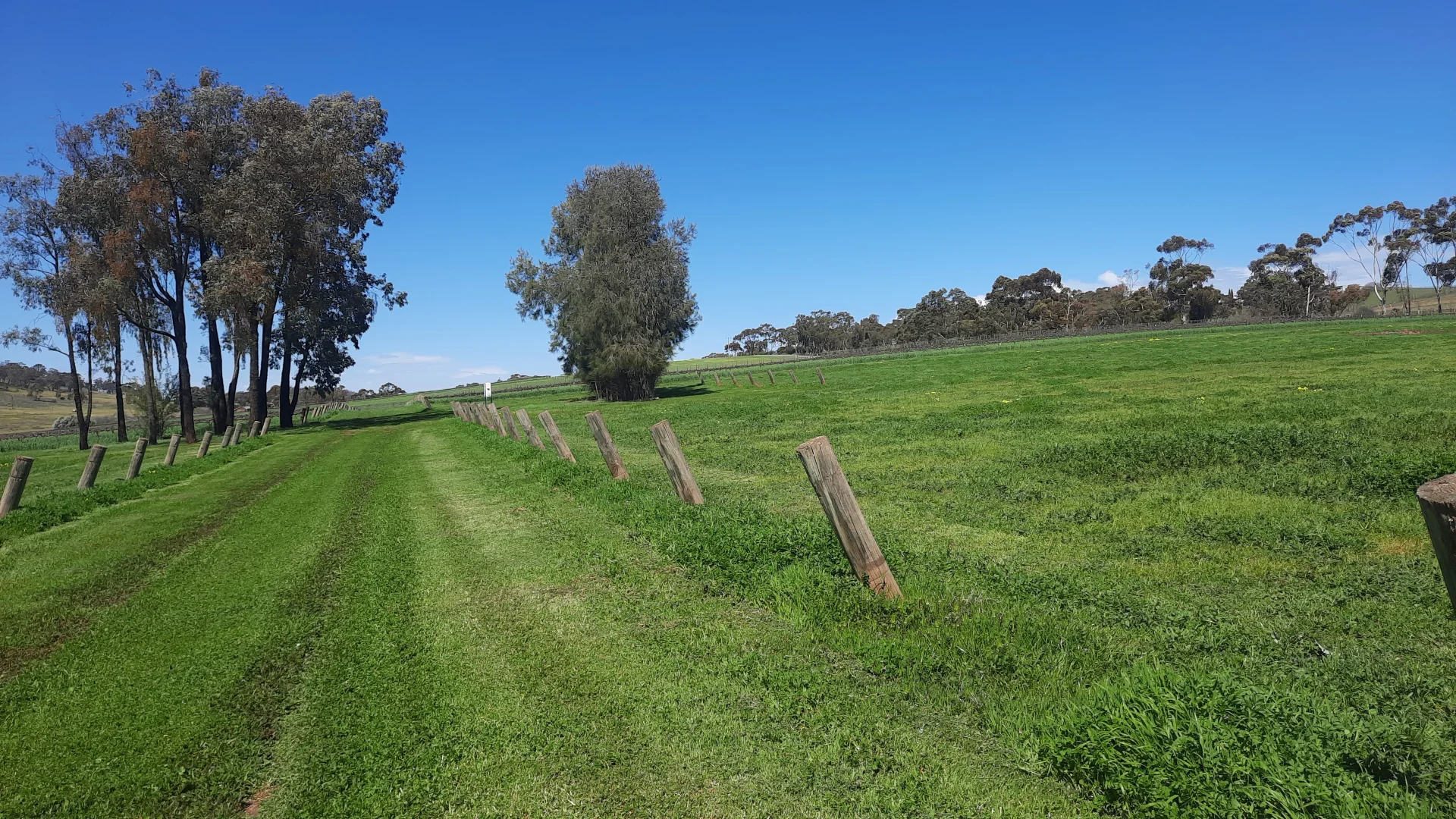 Additional image 15 of 285 Neagles Rock Road, Clare SA 5453