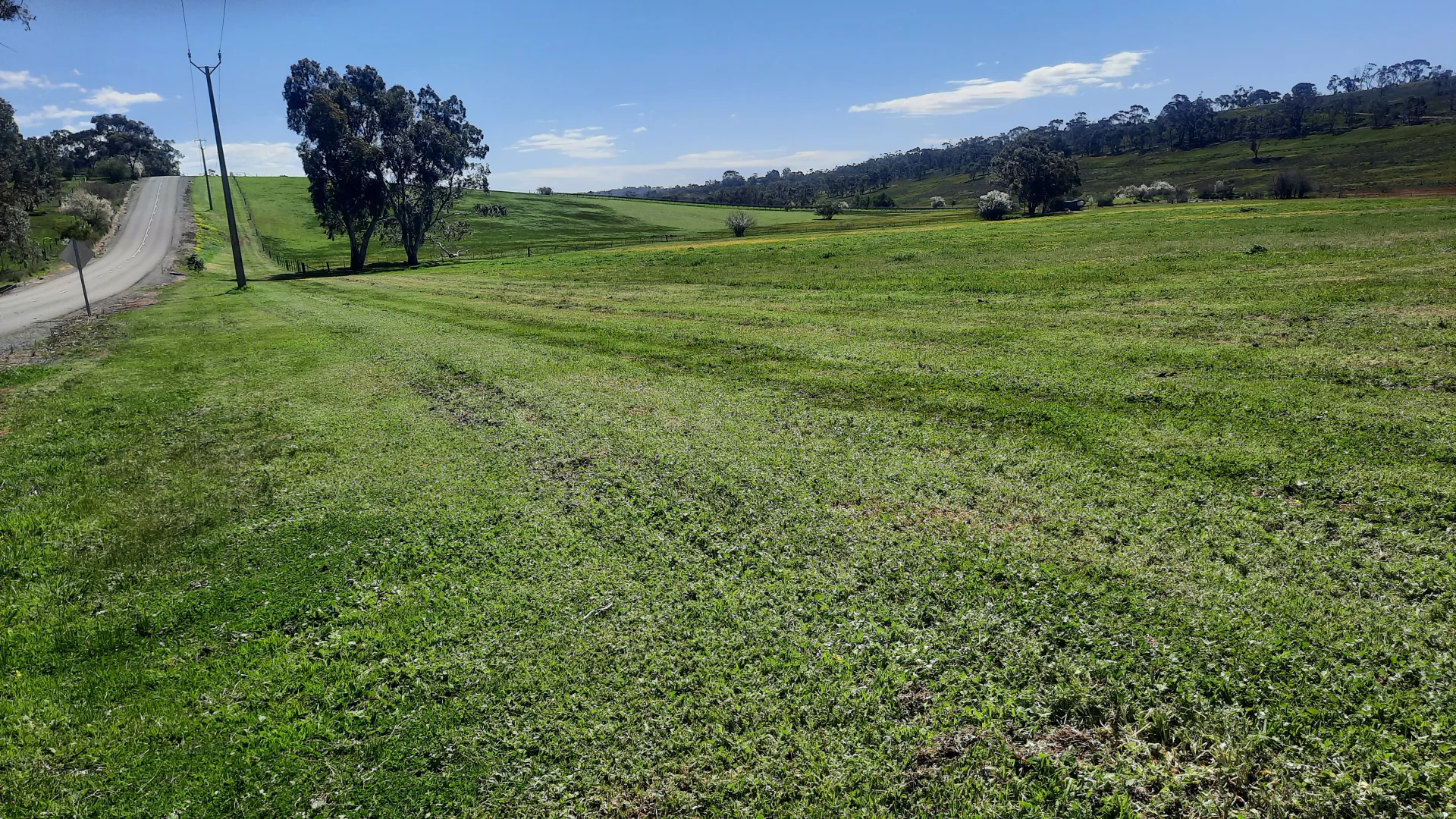 Additional image 12 of 285 Neagles Rock Road, Clare SA 5453
