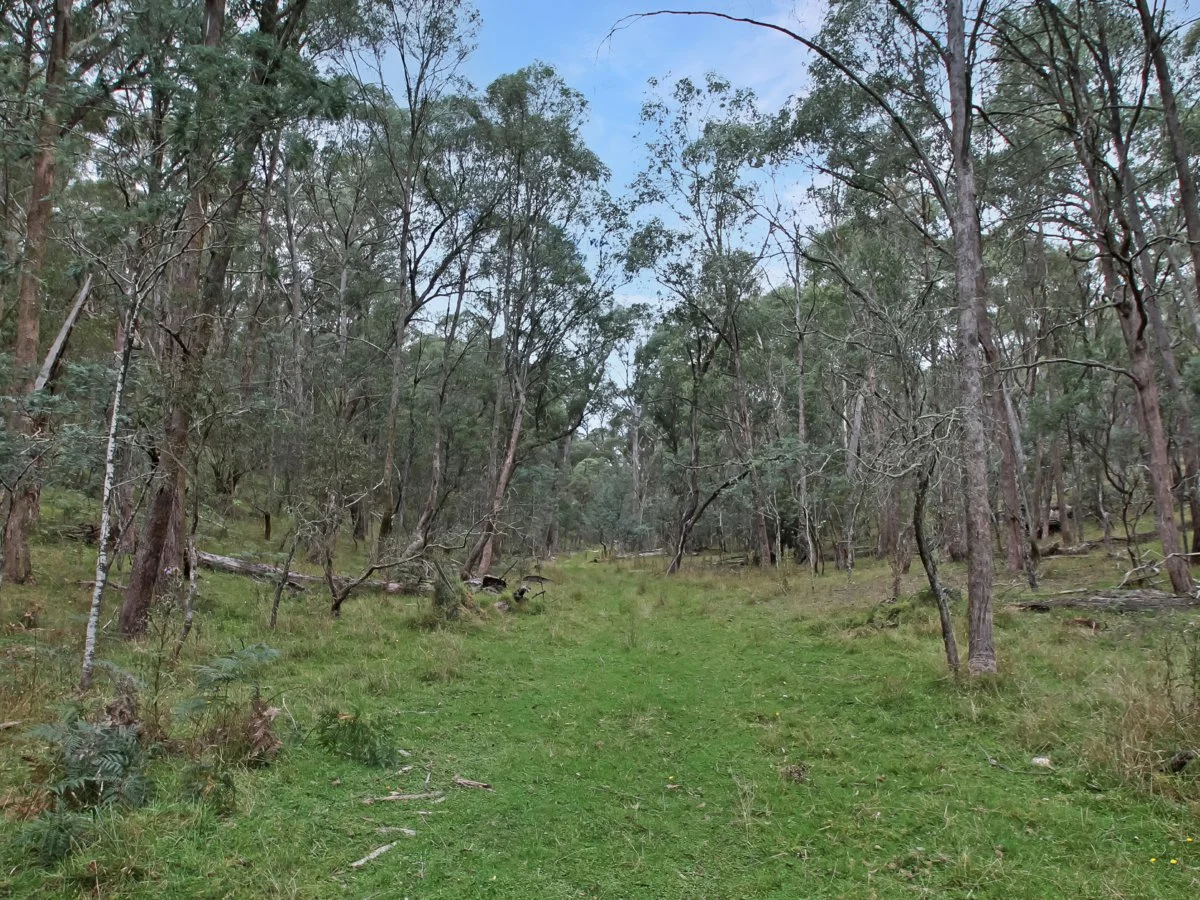 Additional image 6 of 135 Kangaroo Track, Omeo VIC 3898