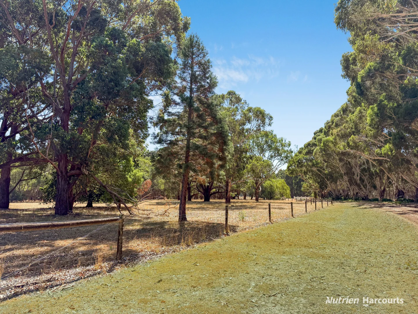 Additional image 26 of 230 Mcleans Road, Dartmoor VIC 3304