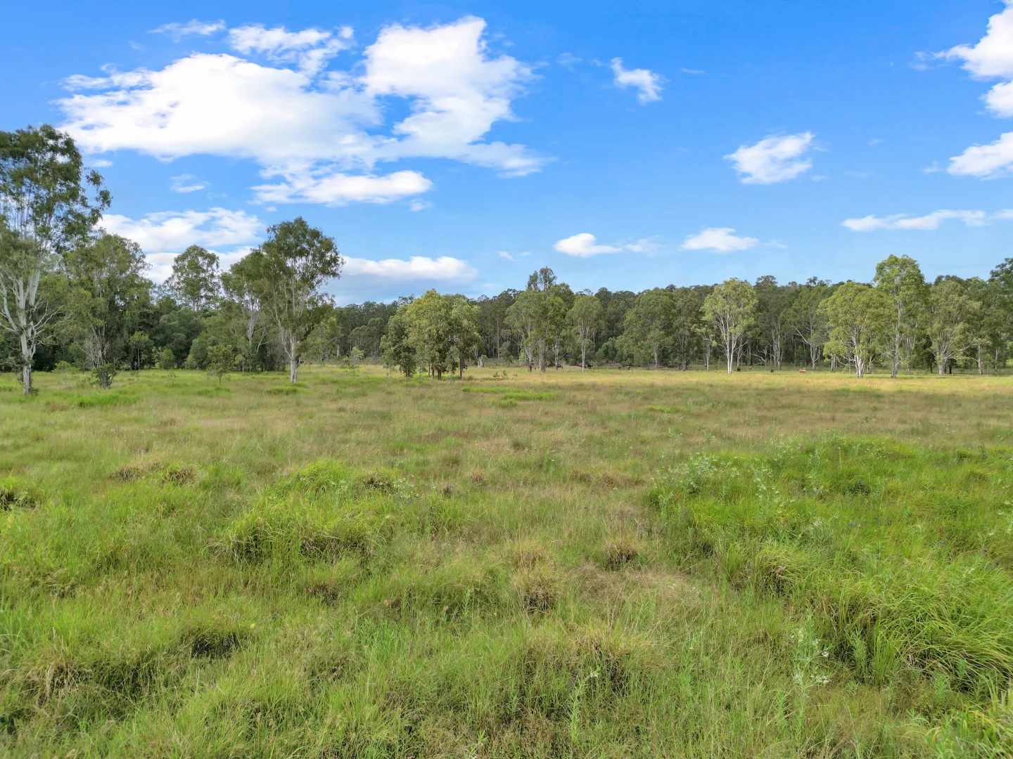 Additional image 4 of Lot 145 Ellangowan Myrtle Creek Road Ellangowan Via, Casino NSW 2470