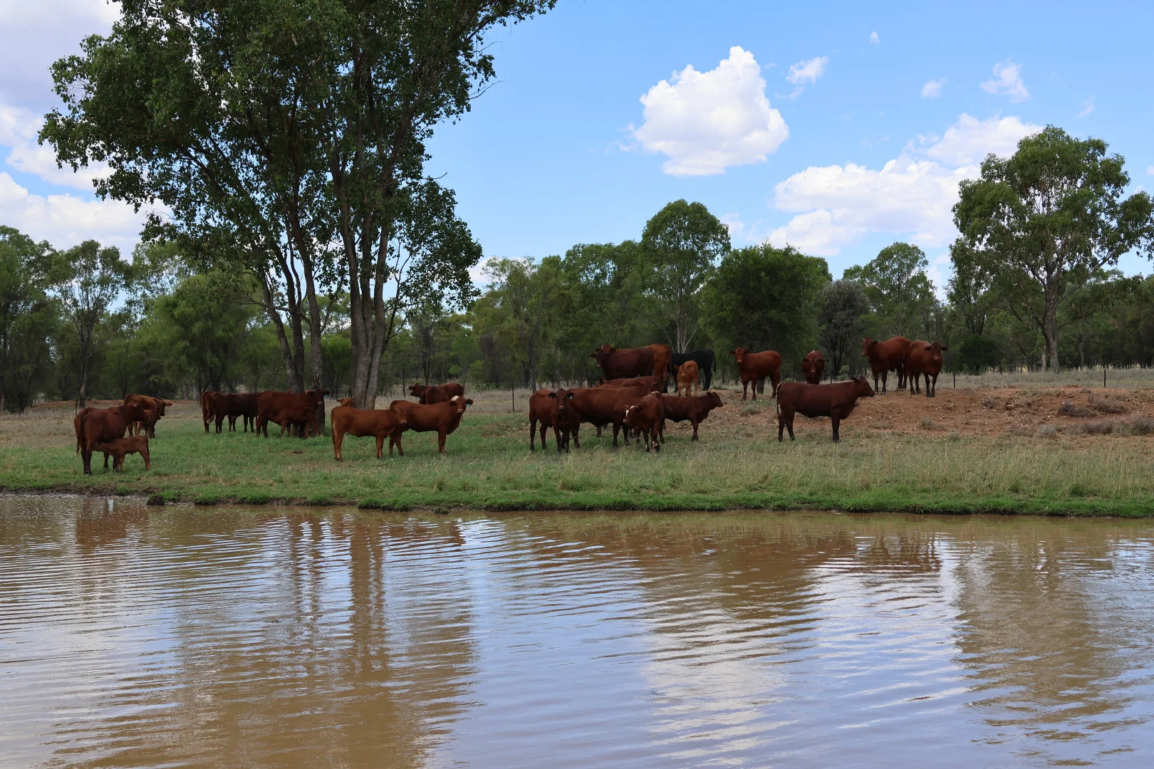 Additional image 3 of 3752 Mitchell Forest Vale Road, Mitchell QLD 4465
