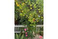 Additional image 11 of 4503 Tobias Ave, Sherman Oaks, CA, 91403