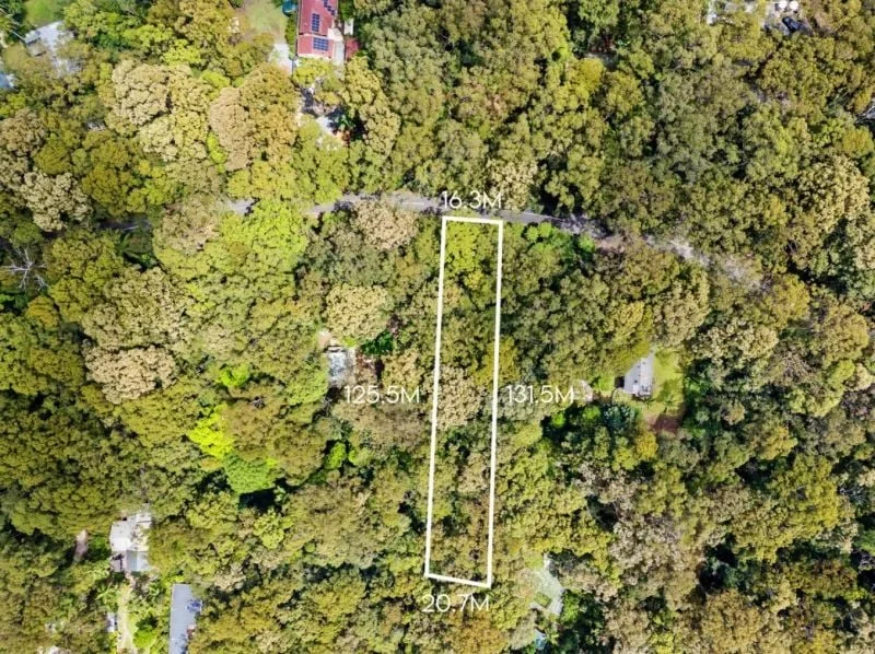 Additional image 2 of 2195 Springbrook Road, Springbrook QLD 4213