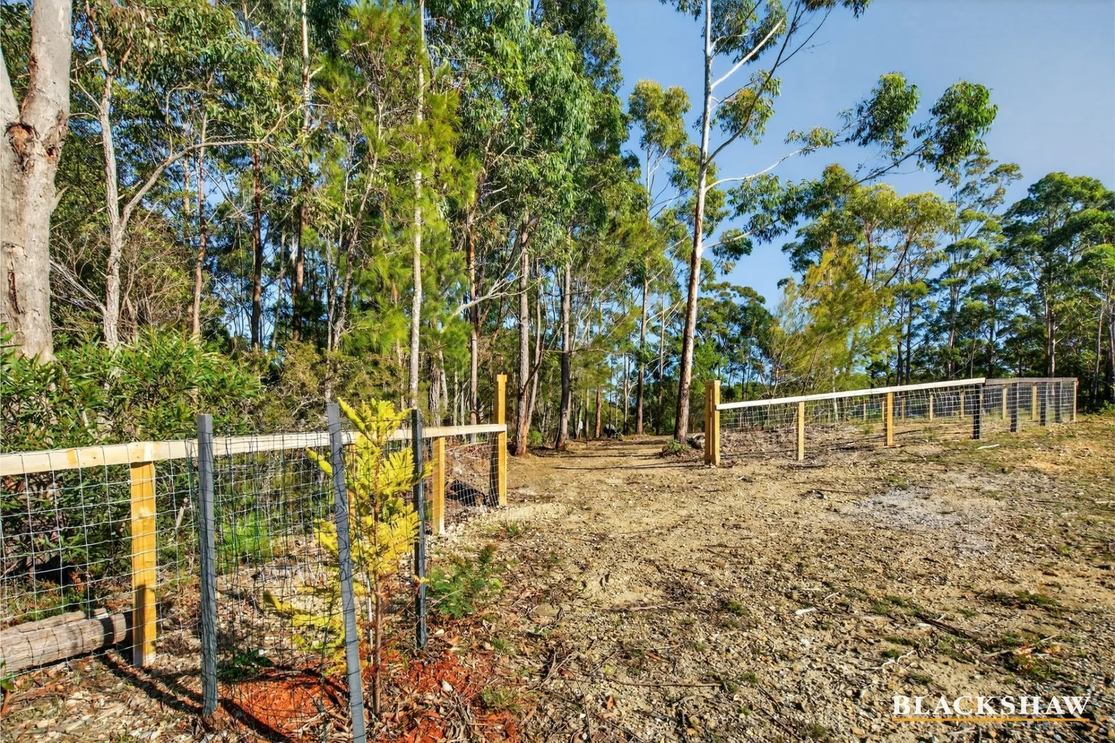 Additional image 6 of 441 Sea Acres Drive, Long Beach NSW 2536