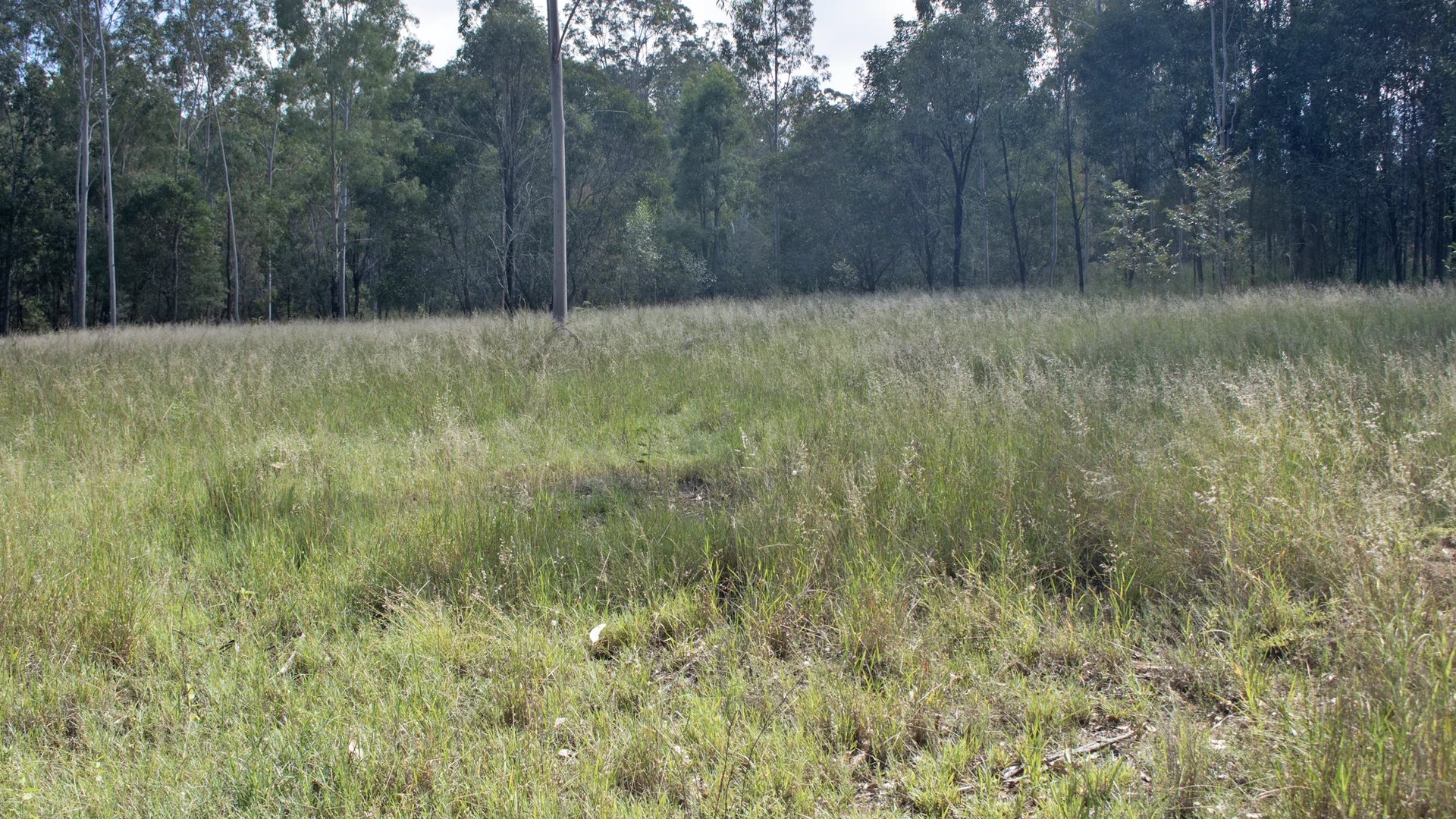 Lot 539 Burnett Highway, Eidsvold QLD 4627 photo 2