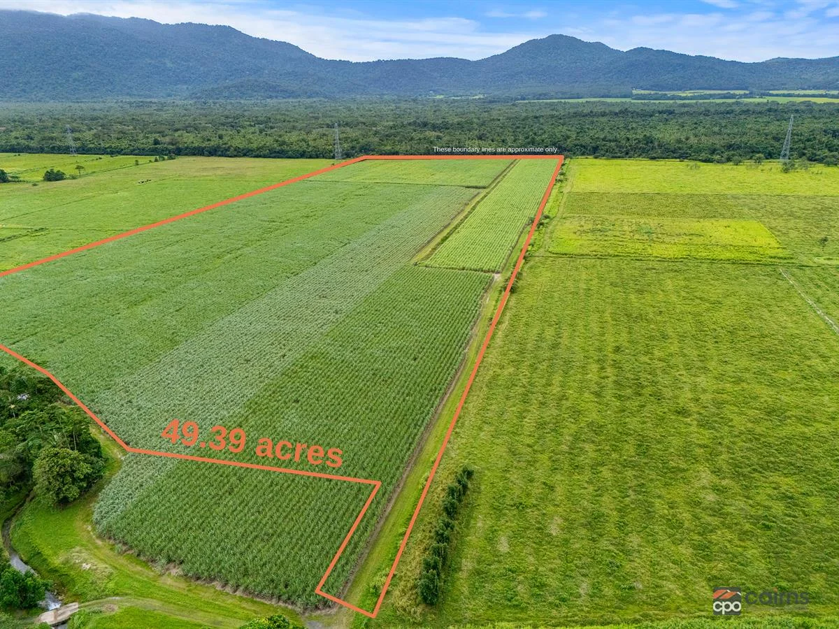 101 Bruce Highway, Bellenden Ker QLD 4871 photo 2