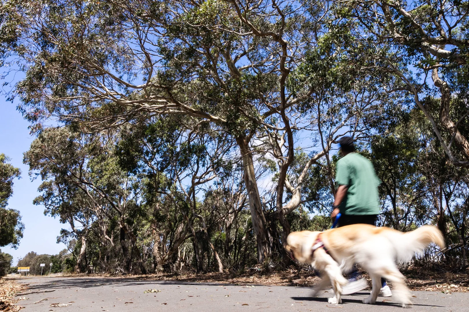 Additional image 5 of 21 Lodge Place, Armstrong Creek VIC 3217