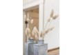 Additional image 104 of 1108 S St, Sacramento, CA, 95811