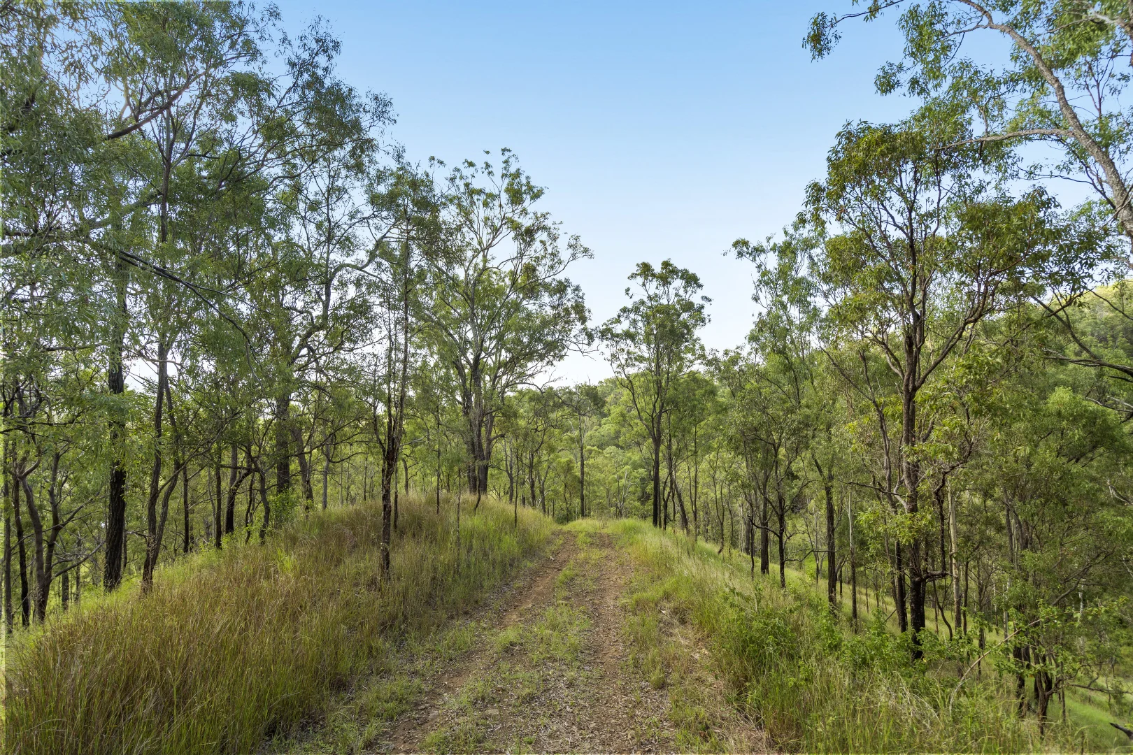 Additional image 16 of 1554 Duck Creek Road, Kerry QLD 4285