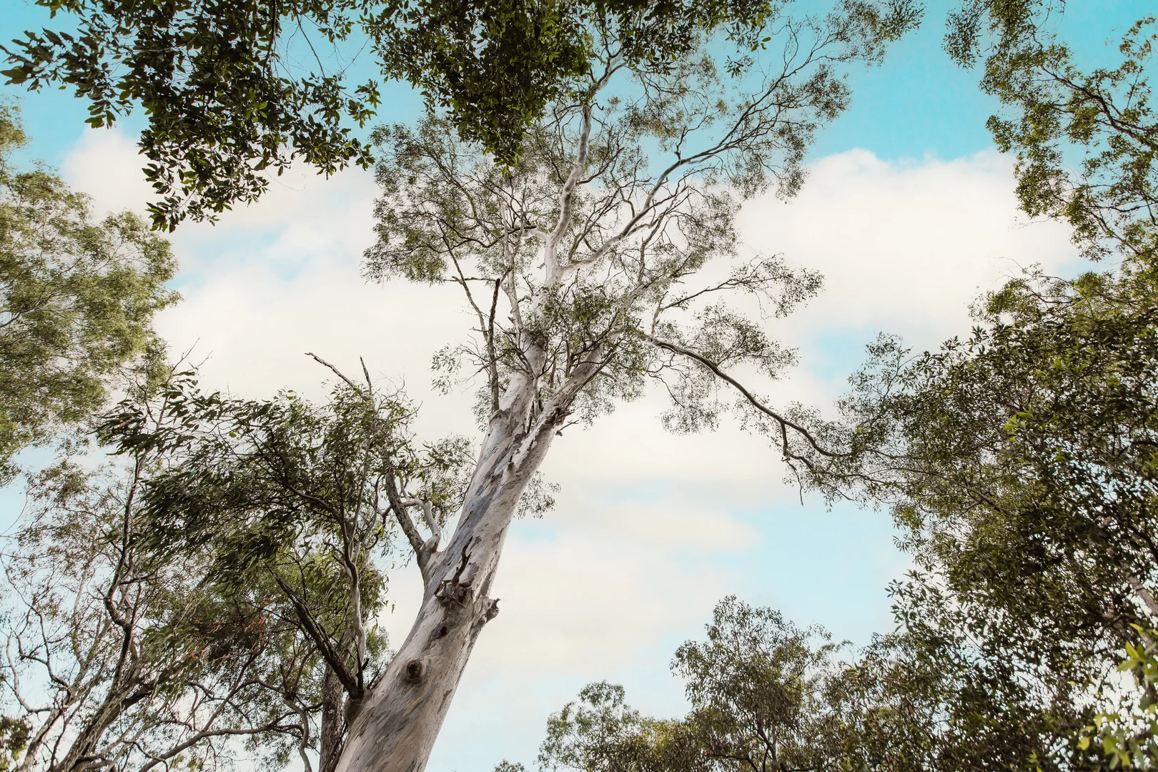 Additional image 10 of 3005/110 Klumpp Road, Upper Mount Gravatt QLD 4122