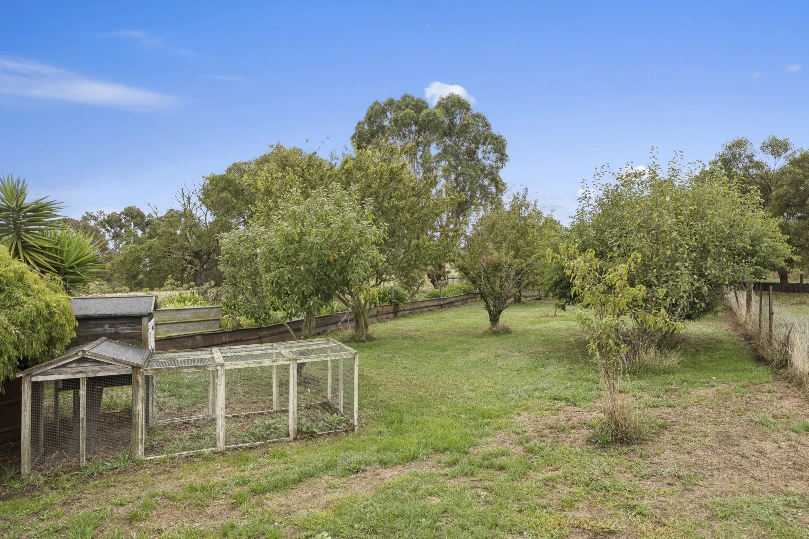 Additional image 17 of 239 Nelsons Road, Elingamite North VIC 3266