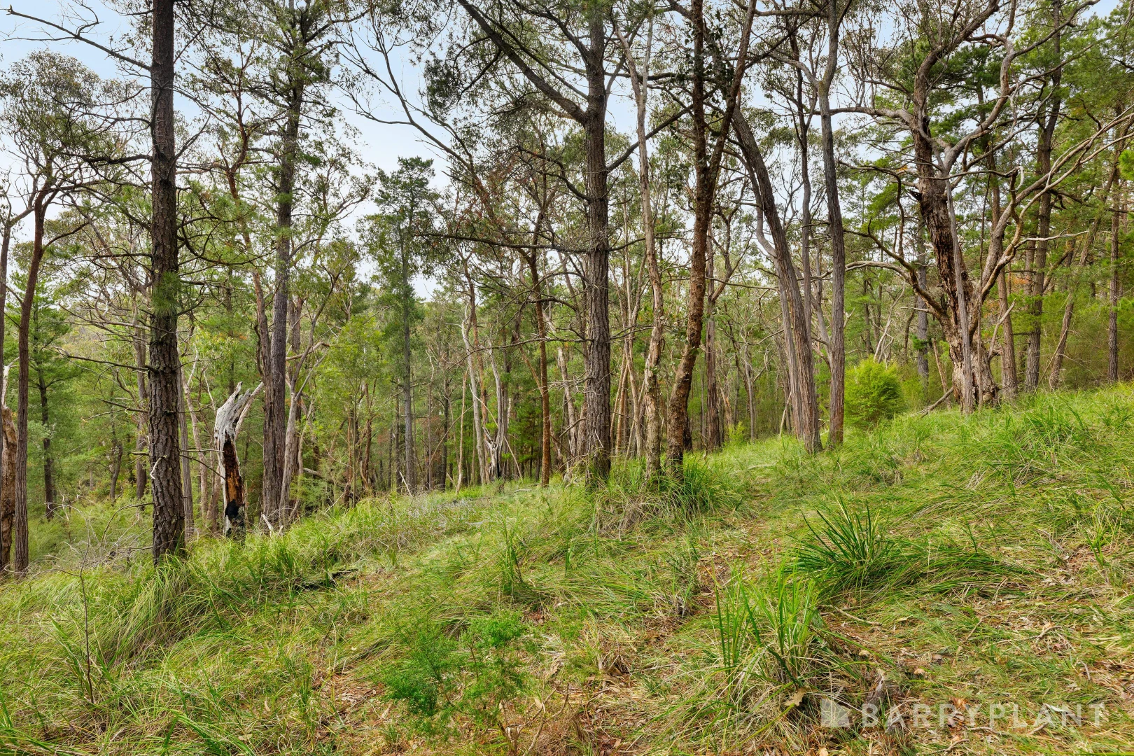 Additional image 3 of 935 Buttermans Track, Christmas Hills VIC 3775