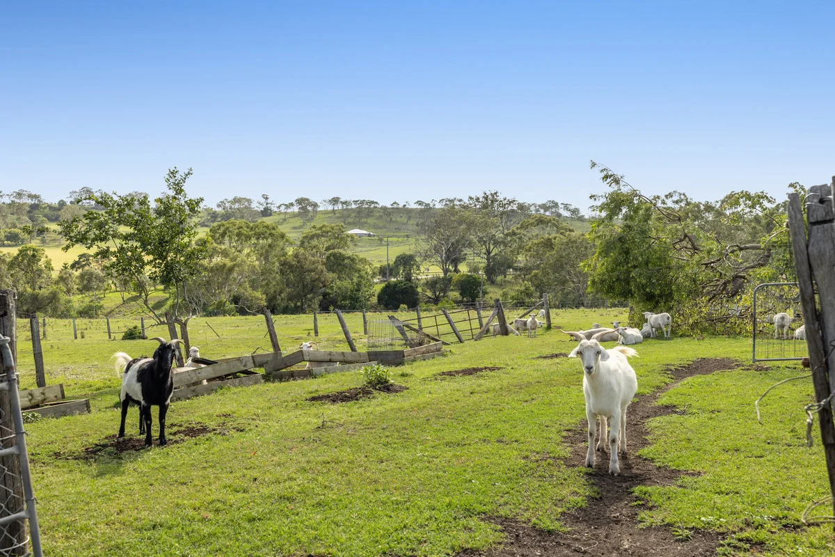 Additional image 16 of 170 Boundary Street, Cranley QLD 4350