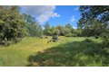 Additional image 3 of S Power House Rd Lot B, Manton, CA, 96059
