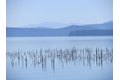 Additional image 16 of 115 Lake Almanor West Dr, Chester, CA, 96020