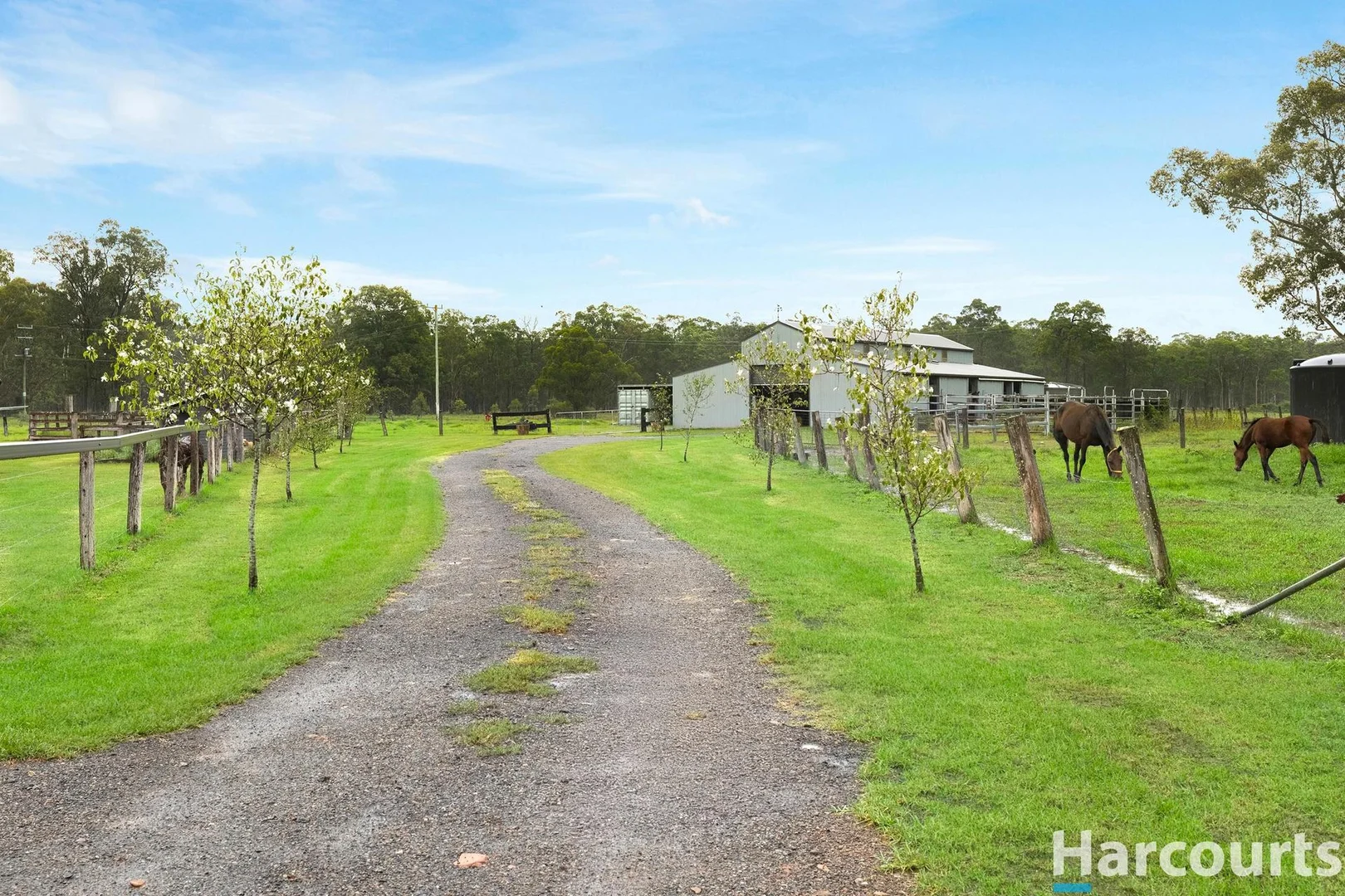 Additional image 18 of 571A The Bucketts Way, Limeburners Creek NSW 2324