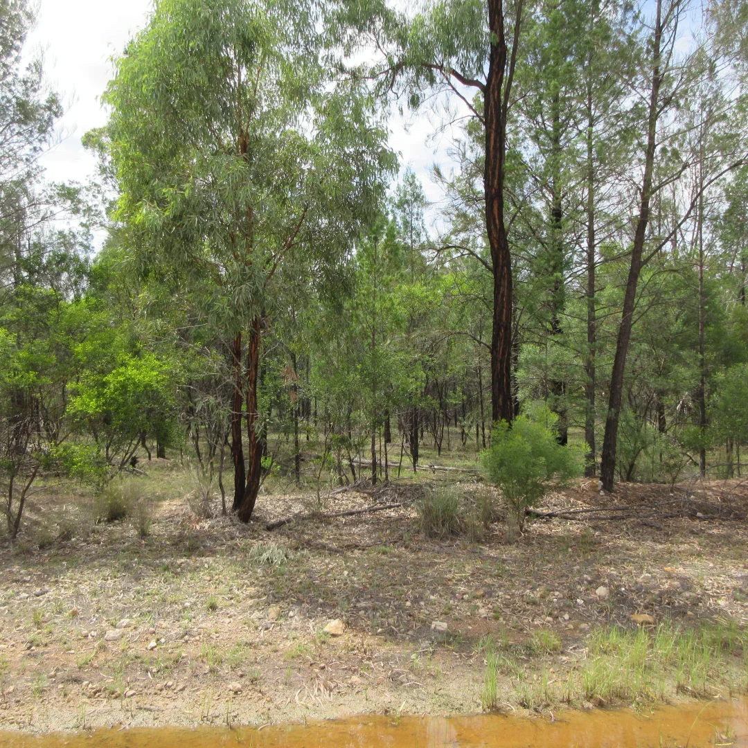 Additional image 4 of 85 Harwoods Road, Tara QLD 4421