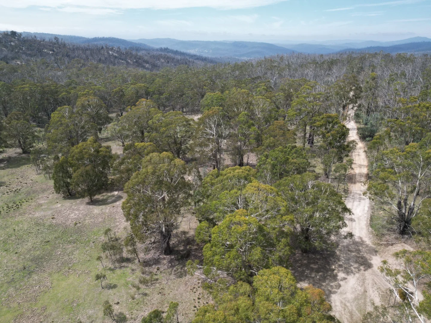 Additional image 4 of Lot 97/97, 175 Tumbledown Road, Peak View NSW 2630