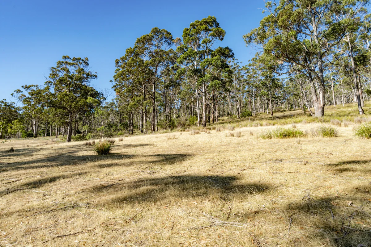 Additional image 17 of 4 D'Entrecasteaux Drive, North Bruny TAS 7150