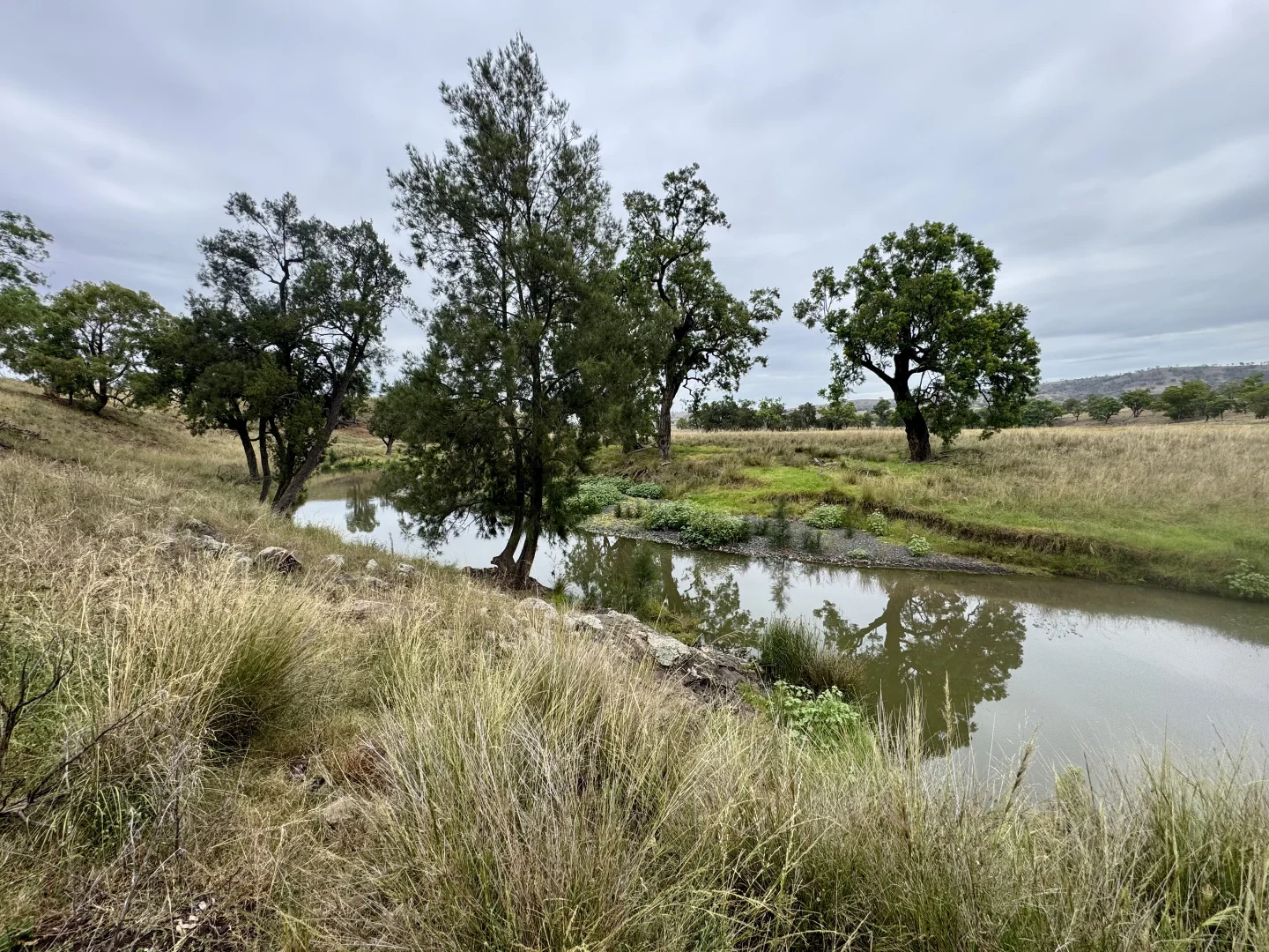 Additional image 3 of "Gummun" Coulsons Creek Road, Merriwa NSW 2329