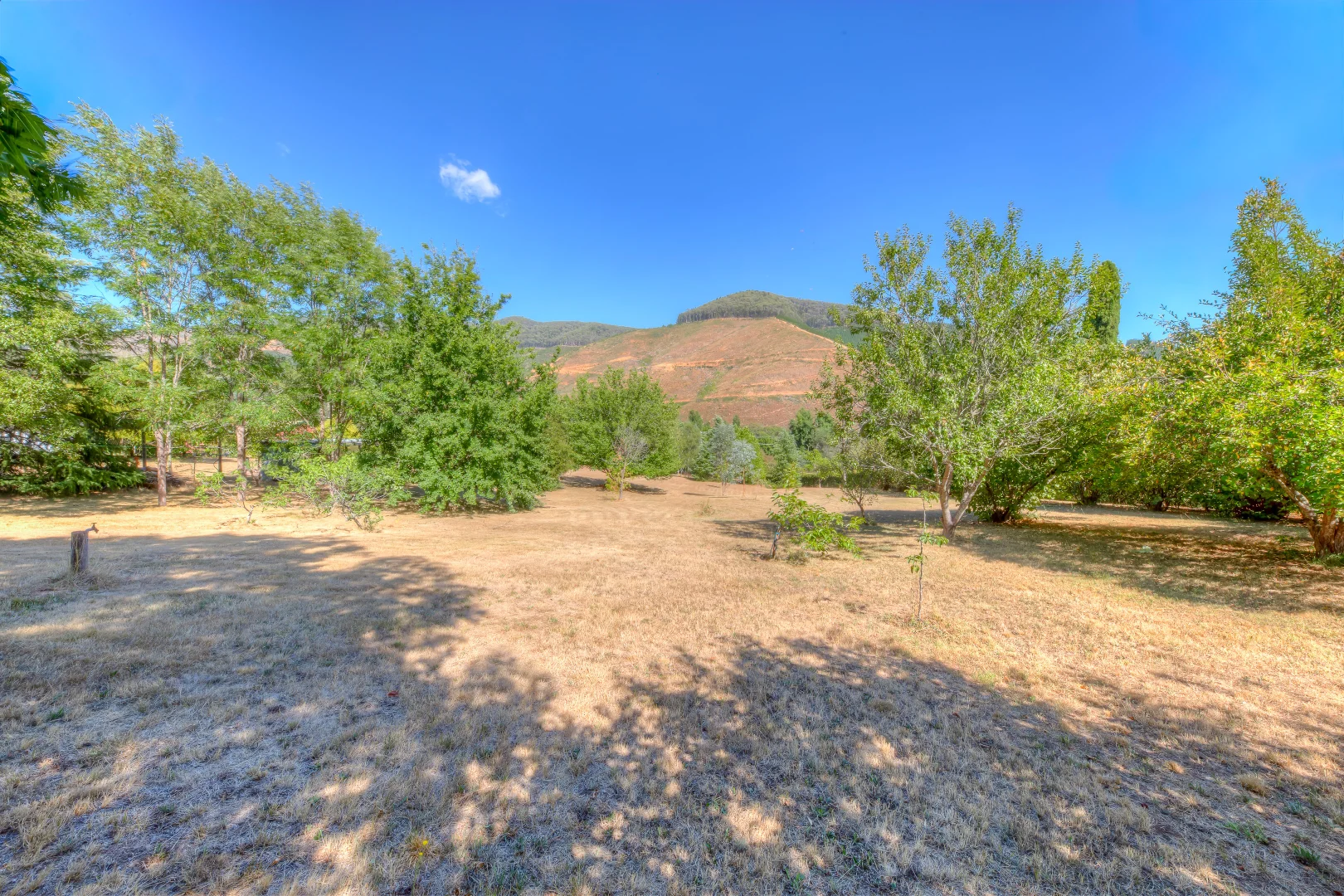 Additional image 8 of 33D Morses Creek Road, Wandiligong VIC 3744