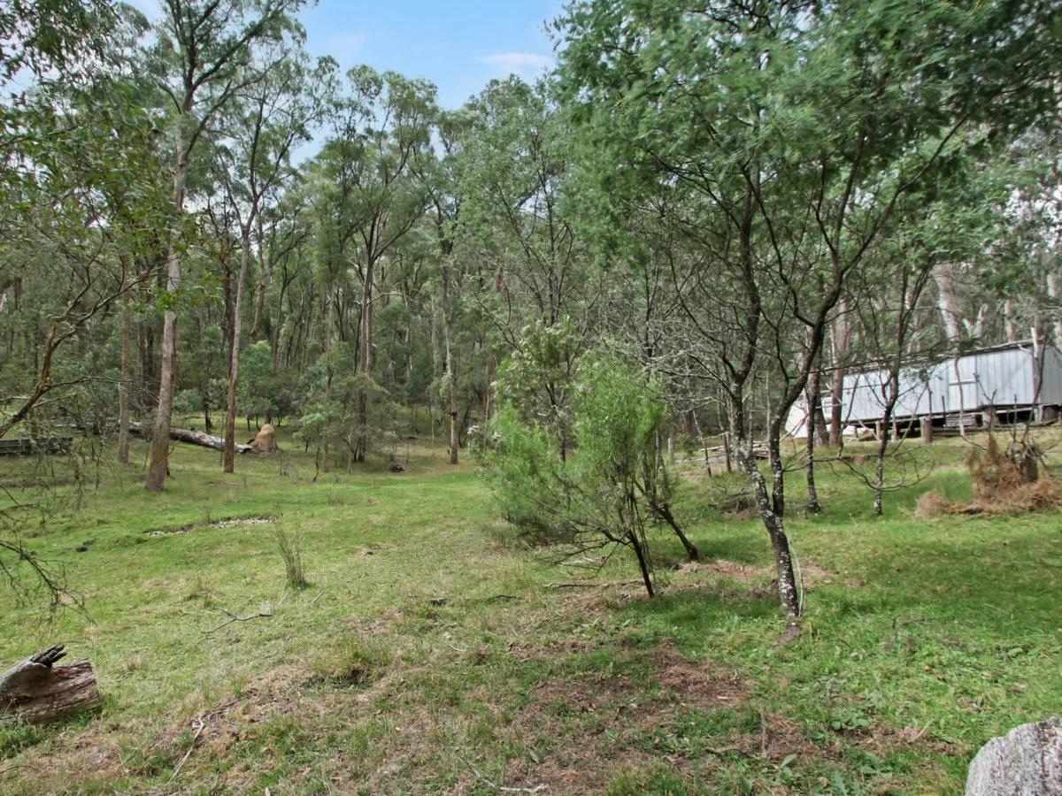 Additional image 10 of 135 Kangaroo Track, Omeo VIC 3898