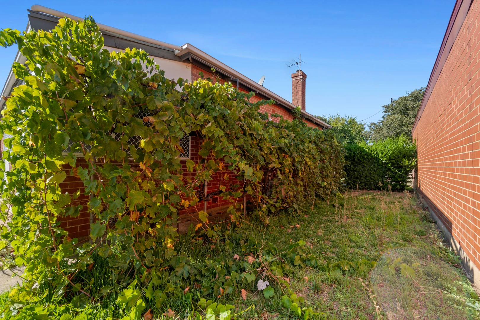 Additional image 13 of 2 Darebin Street, Mile End SA 5031