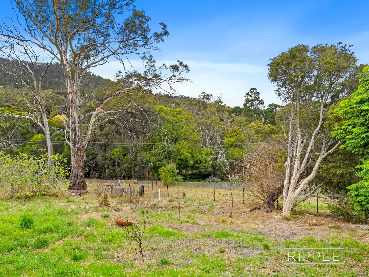 Additional image 19 of 38 Otago Bay Road, Otago TAS 7017