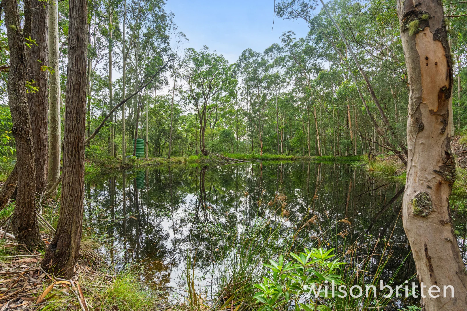 Additional image 25 of 131 Wilkinson Road, Martinsville NSW 2265