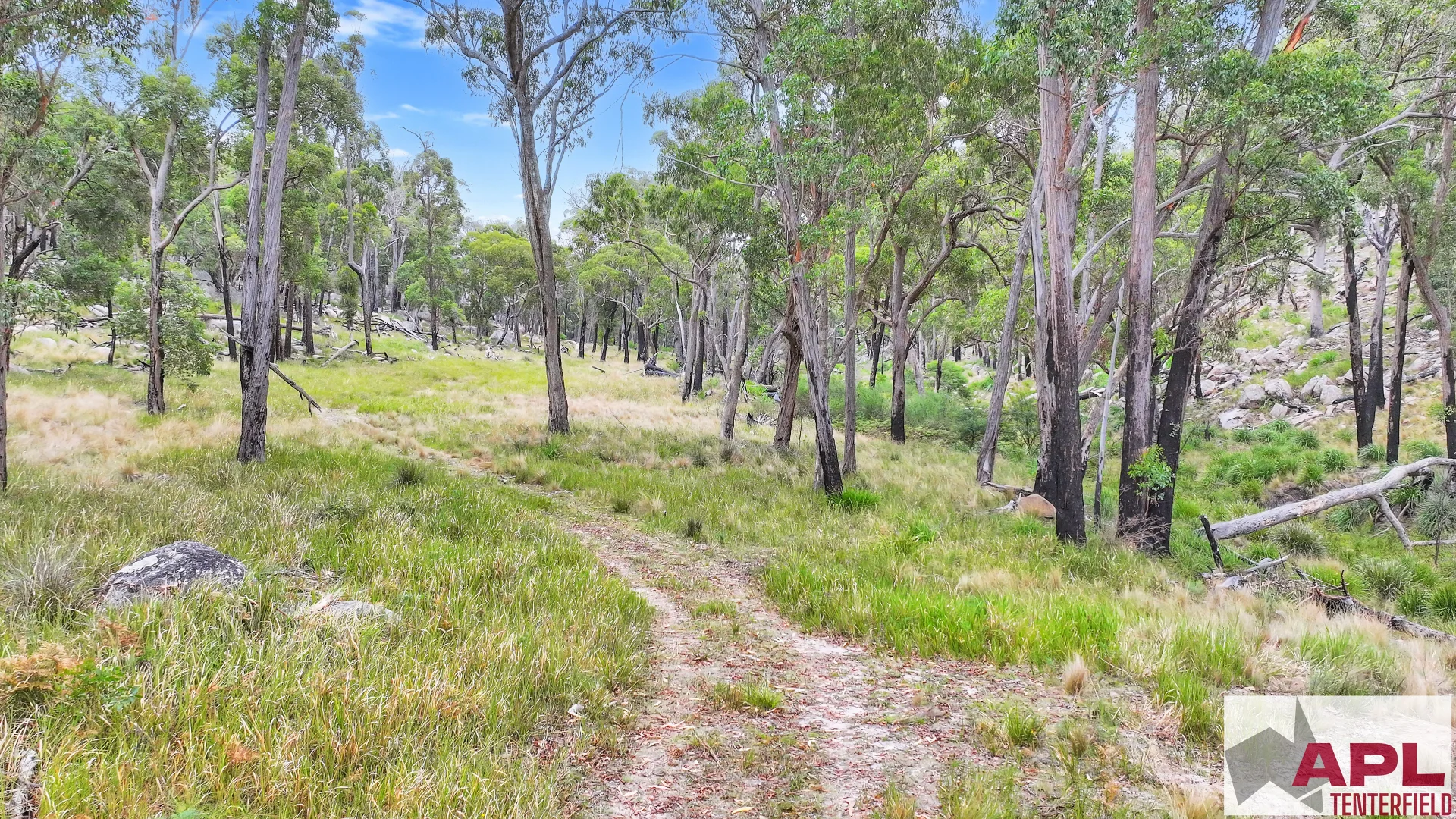 Additional image 16 of 1224 Mount Mckenzie Road, Tenterfield NSW 2372