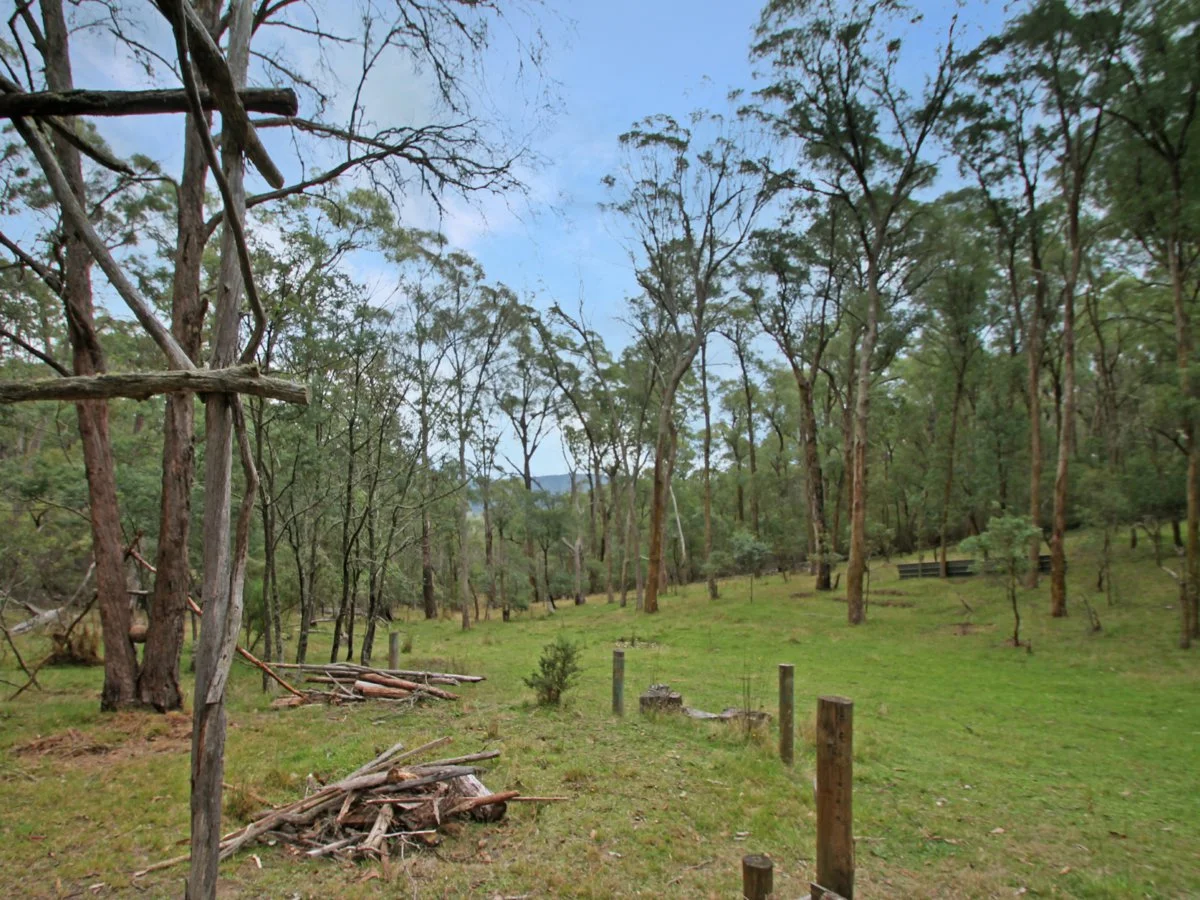 Additional image 12 of 135 Kangaroo Track, Omeo VIC 3898