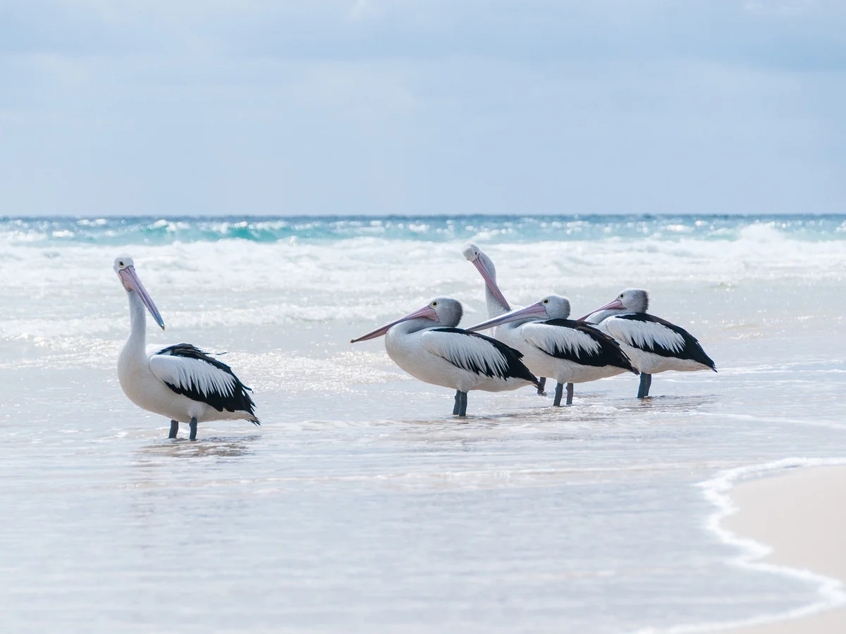 Additional image 4 of Dundowran Beach QLD 4655