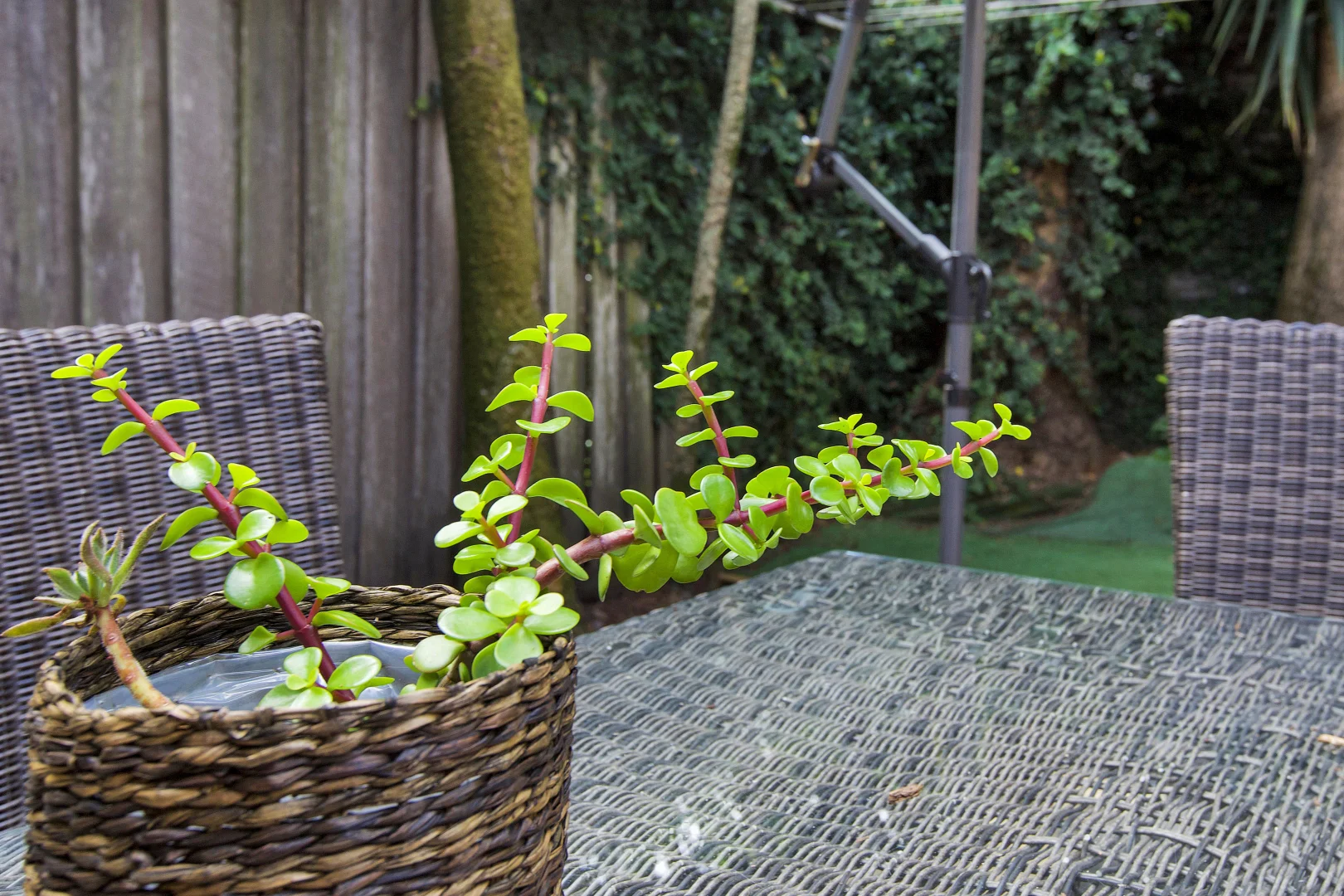 Additional image 14 of 75 Nelson Street, Rozelle NSW 2039