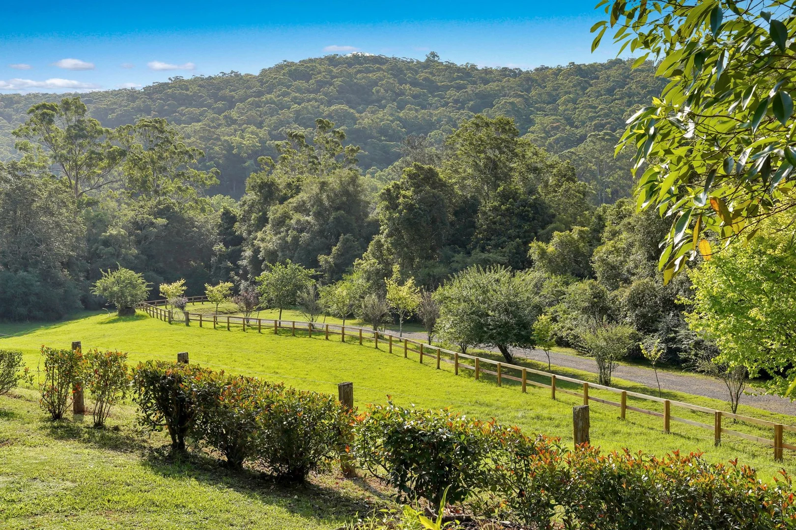 Additional image 24 of 1698 Yarramalong Road, Yarramalong NSW 2259