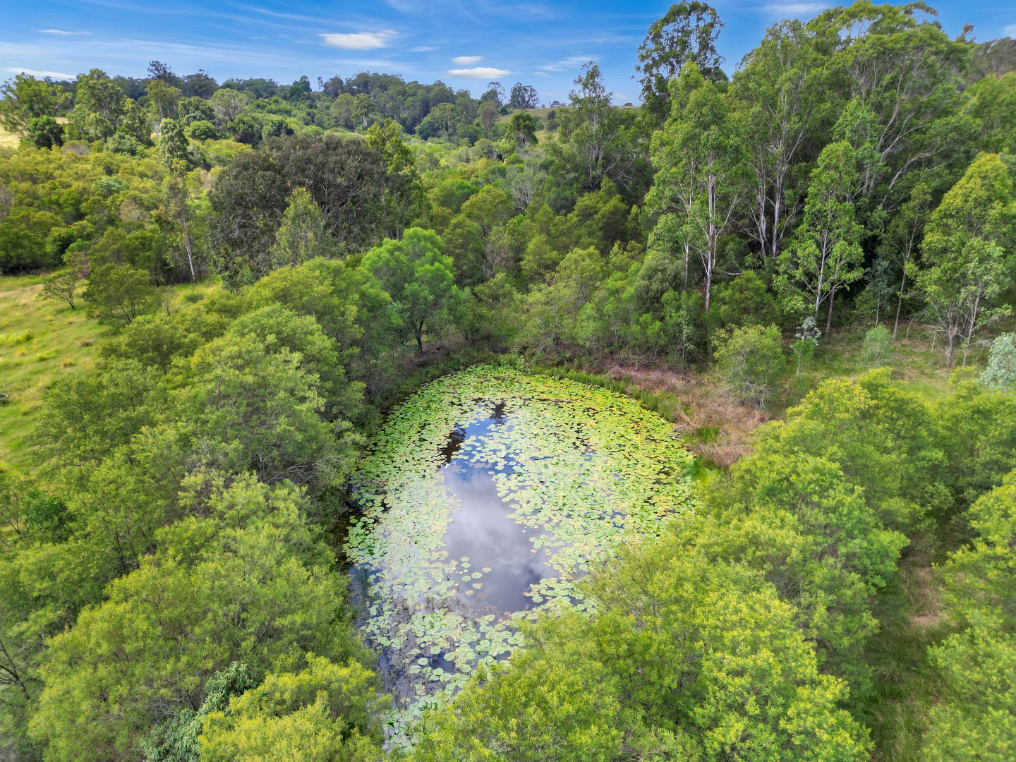 Additional image 4 of Lot 119 Ellangowan Myrtle Creek Road, Ellangowan NSW 2470