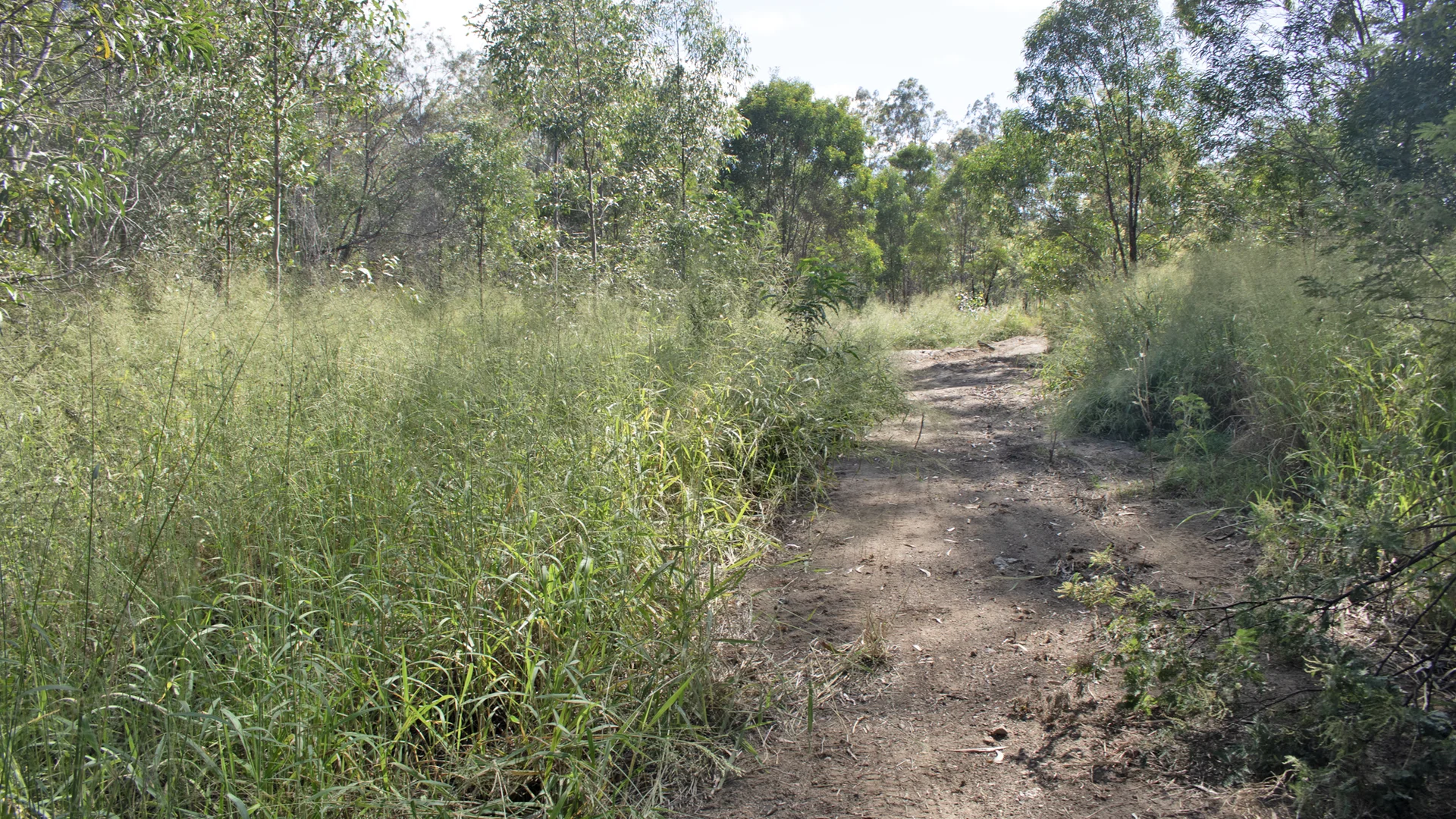 Lot 2/MPH22711 Burnett Highway, Eidsvold QLD 4627 photo 4