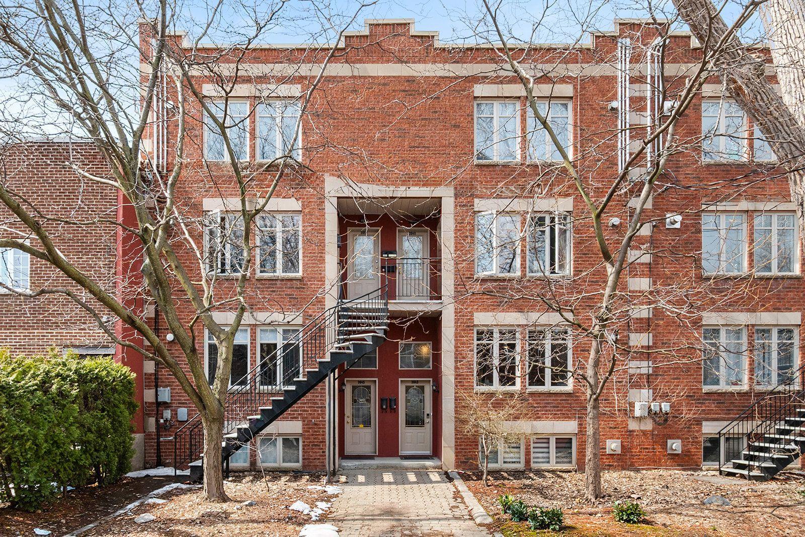 3943 Rue Cool