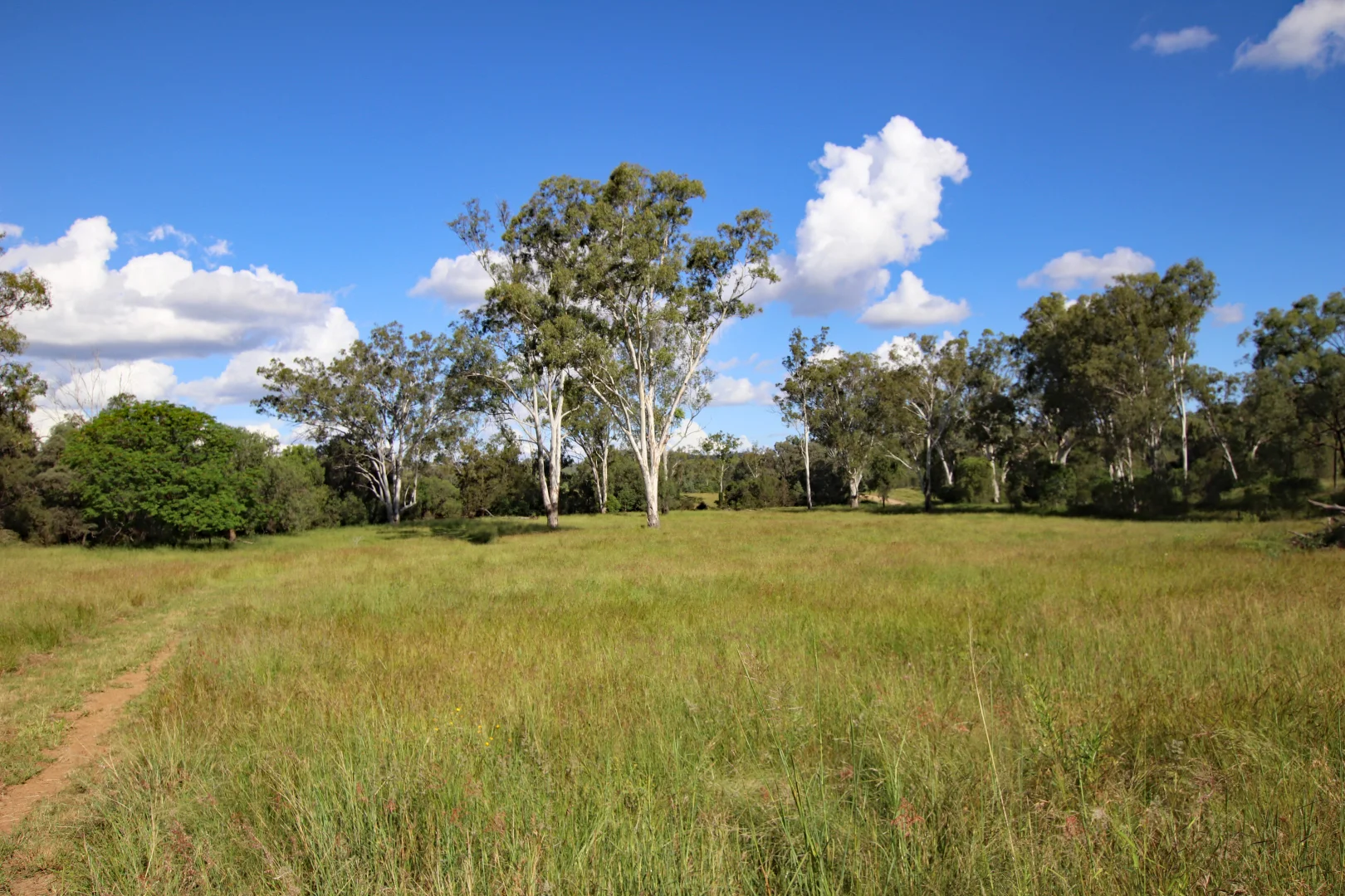 Additional image 9 of "Scrubview" Frawleys Road, Thangool QLD 4716