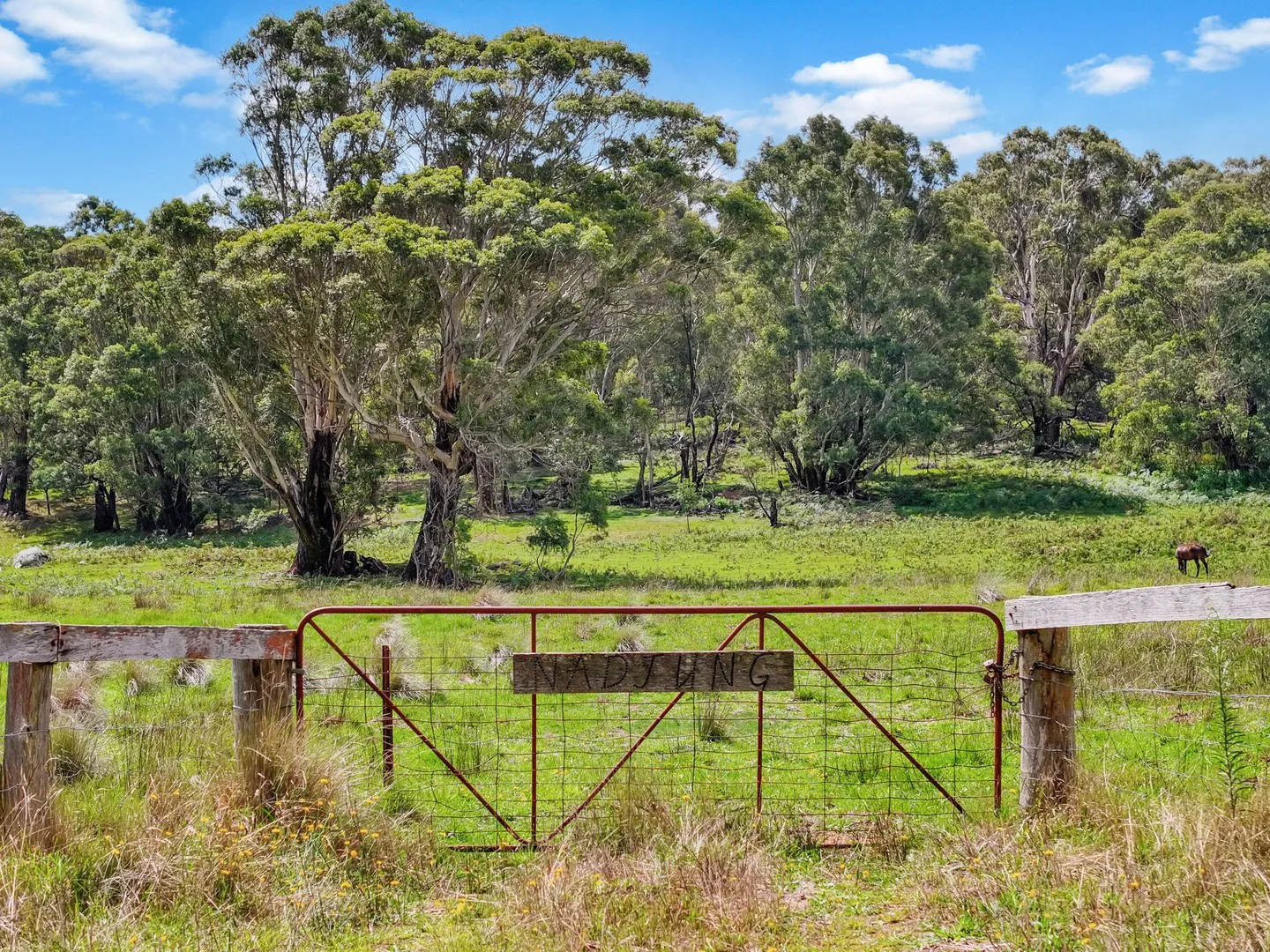 195 Halls Lane, Braidwood NSW 2622