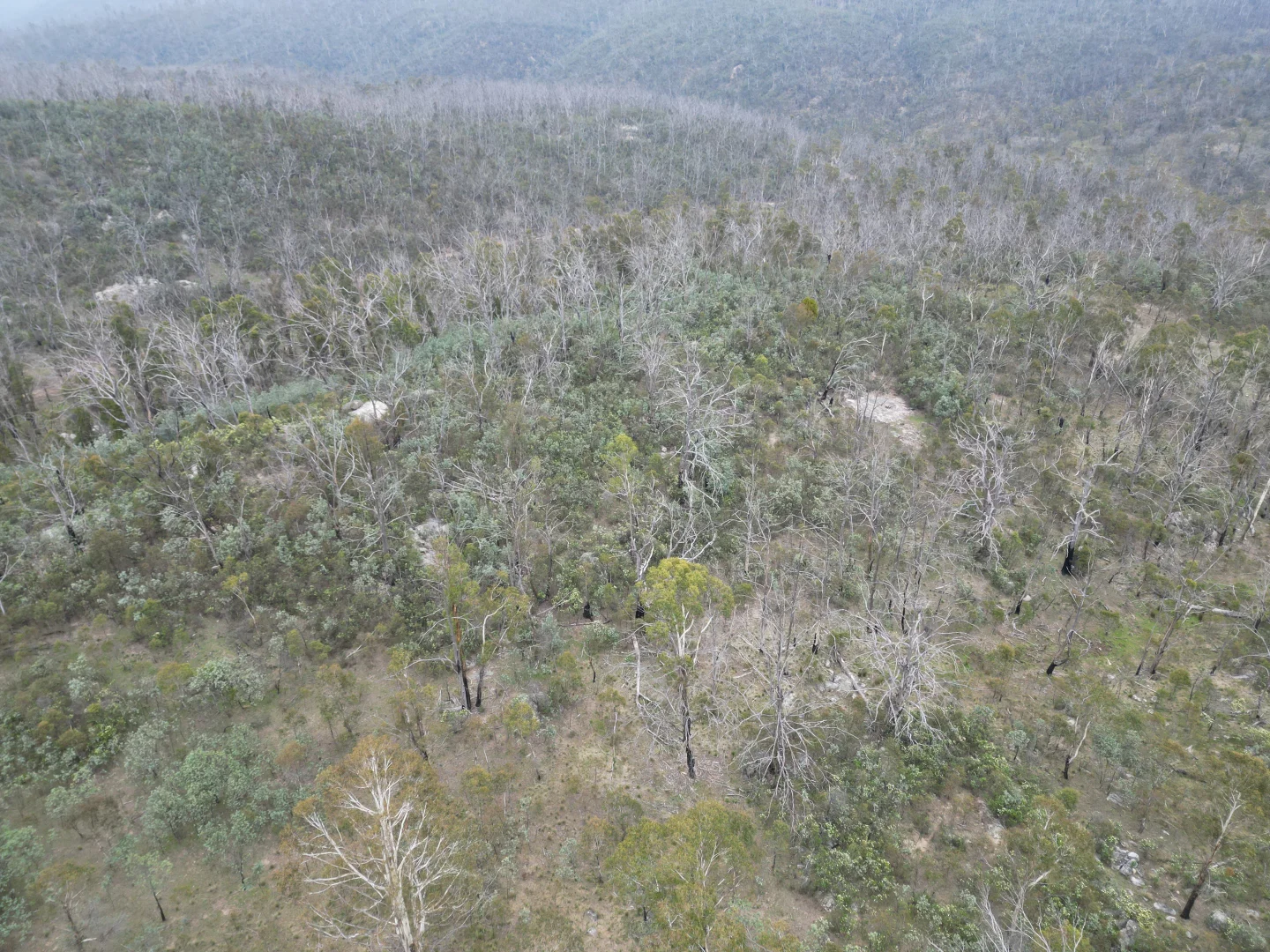 Additional image 7 of Lot 97/97, 175 Tumbledown Road, Peak View NSW 2630