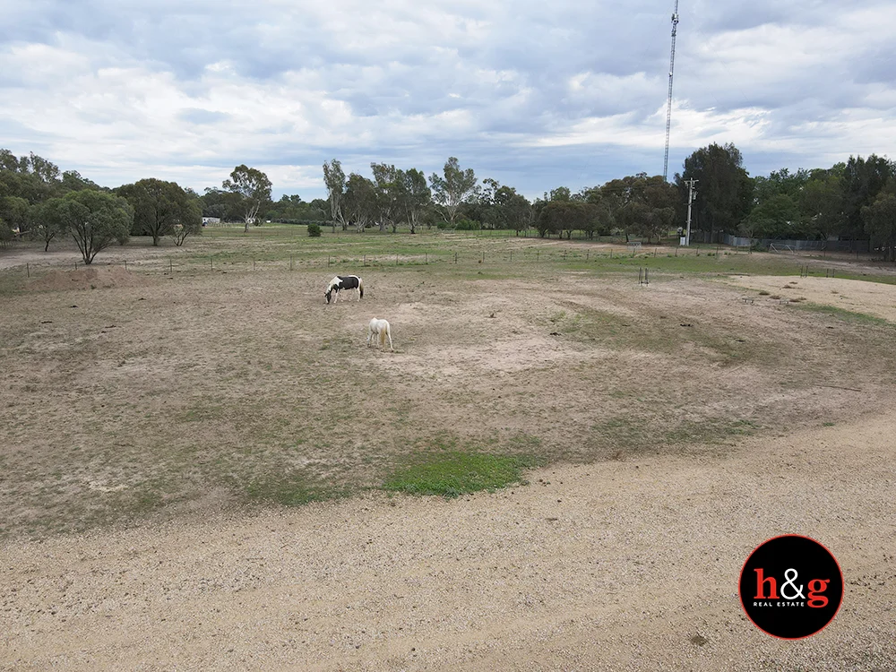 Additional image 3 of 161 Barmah-Shepparton Road, Barmah VIC 3639