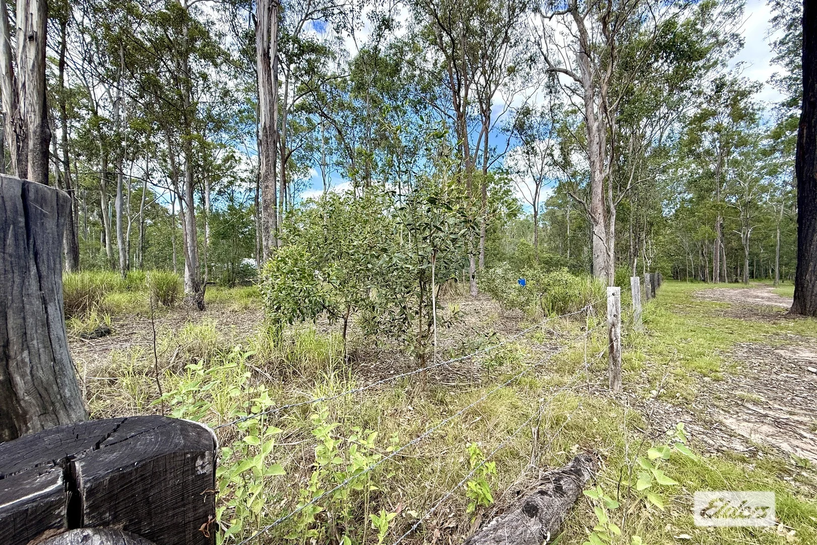 Additional image 9 of 362 Wards Road, Glenwood QLD 4570