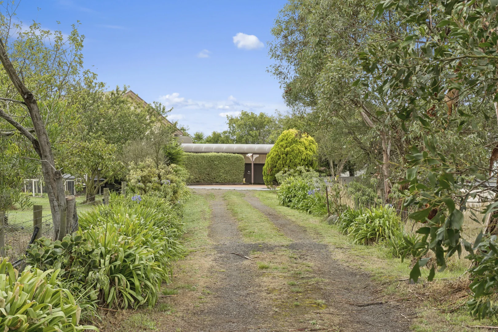 Additional image 4 of 239 Nelsons Road, Elingamite North VIC 3266