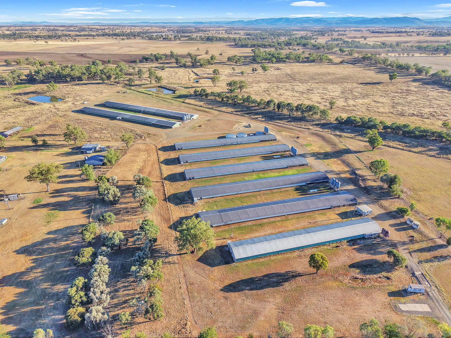 Additional image 3 of 231 Duri-Dungowan Road, Duri NSW 2344