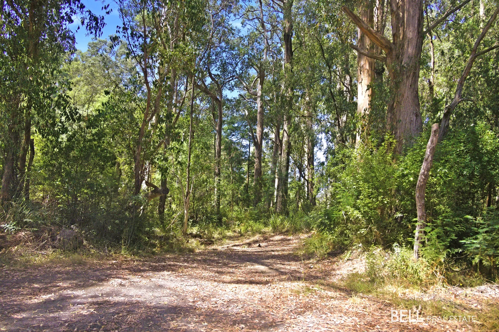 Additional image 5 of 1195 Little Yarra Road, Three Bridges VIC 3797