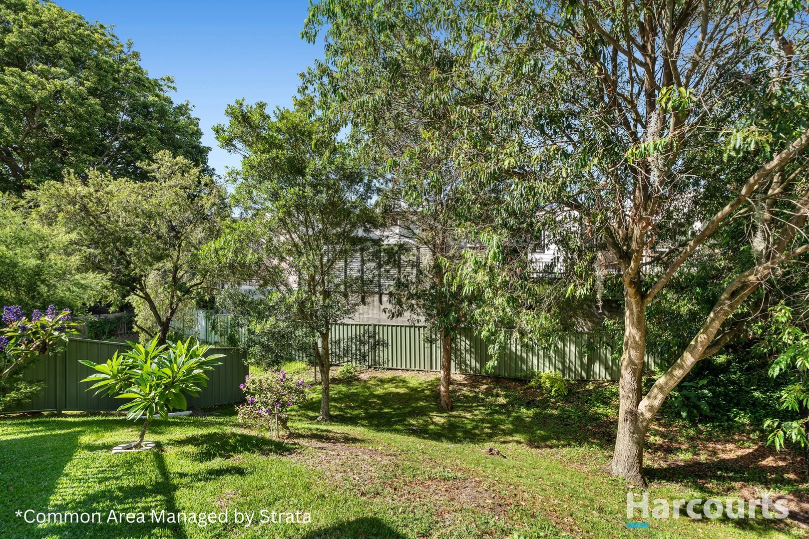 Additional image 16 of 3/44 Portland Place, New Lambton NSW 2305