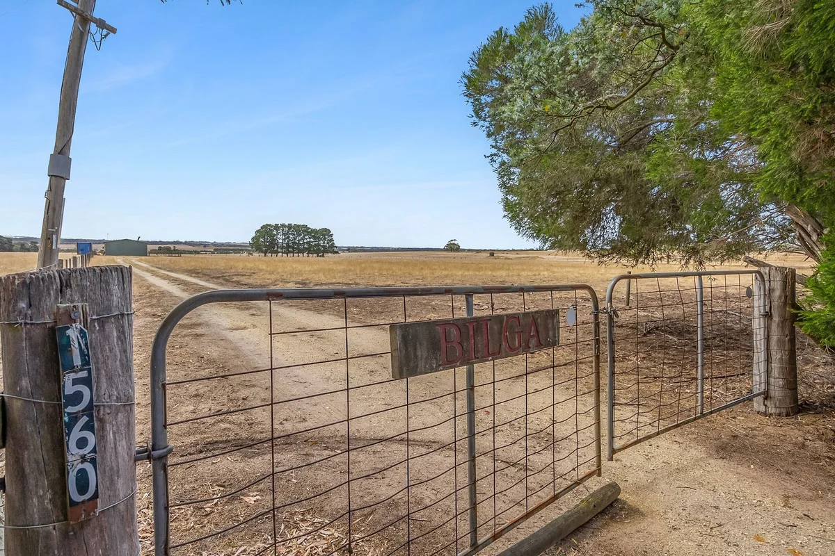 1560 Blackgate Road, Freshwater Creek VIC 3217