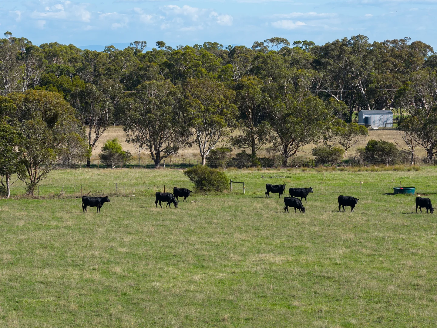 Additional image 30 of 495 Romawi Road, Forge Creek VIC 3875